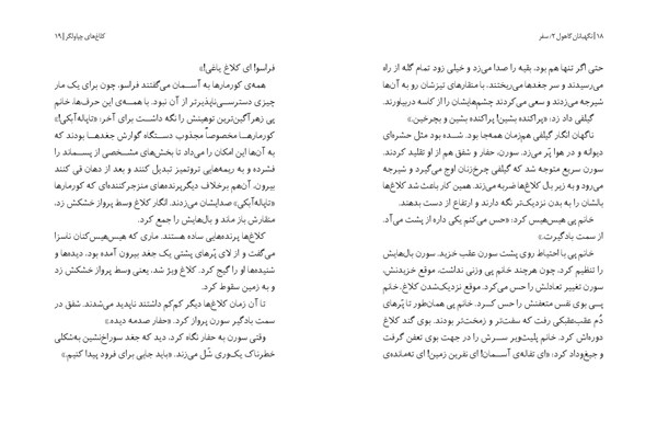 کتاب نگهبانان گاهول (2) هوپا HOOPA_ اسباب بازی 
