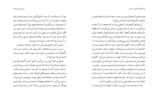 کتاب نگهبانان گاهول (3) هوپا HOOPA_ اسباب بازی 