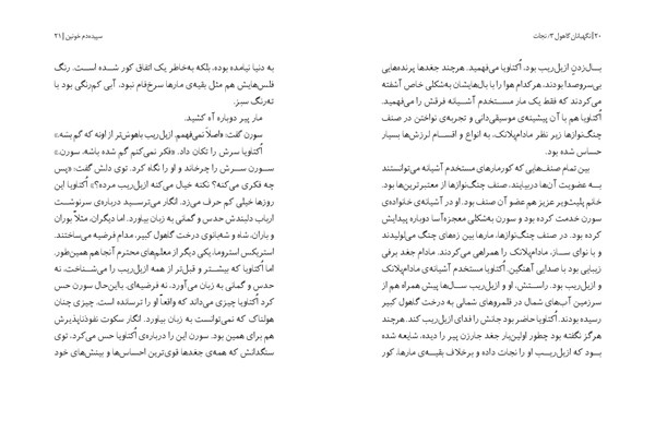 کتاب نگهبانان گاهول (3) هوپا HOOPA_ اسباب بازی 