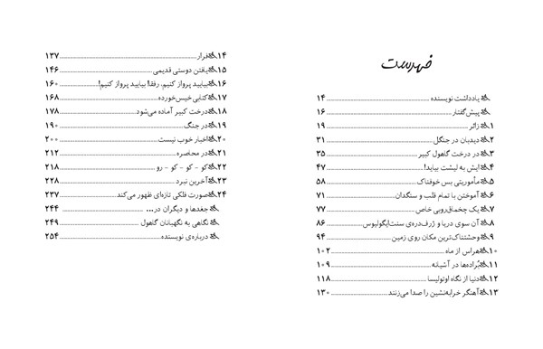 کتاب نگهبانان گاهول (4) هوپا HOOPA_اسباب بازی 