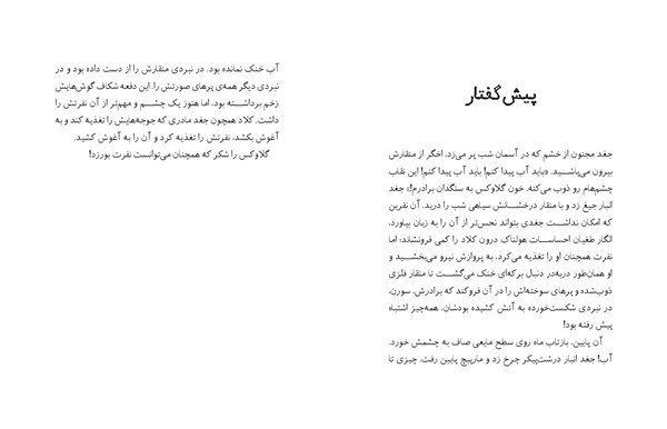 کتاب نگهبانان گاهول (4) هوپا HOOPA_اسباب بازی 