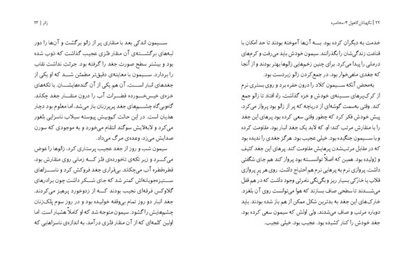 کتاب نگهبانان گاهول (4) هوپا HOOPA_اسباب بازی 