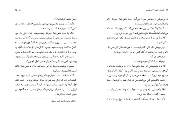 کتاب نگهبانان گاهول (4) هوپا HOOPA_اسباب بازی 