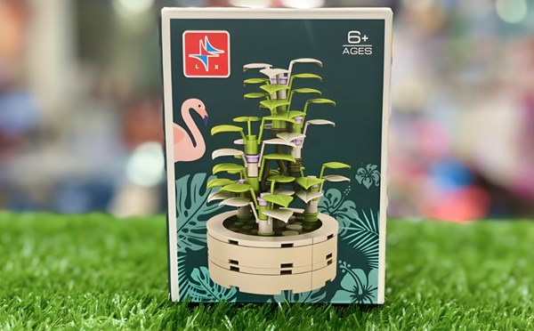 لگوی گلدان کاکتوس مدل 5253