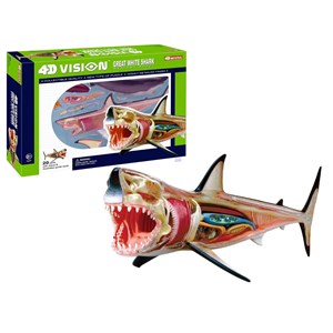 پک ساخت آناتومی بدن کوسه مدل Chap Mei - 4D Master - Great White Shark Anatomy Model_اسباب بازی