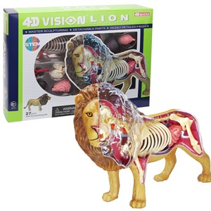 پک ساخت آناتومی بدن شیر مدل Chap Mei - 4D Master - Lion Anatomy Model_اسباب بازی
