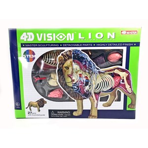 پک ساخت آناتومی بدن شیر مدل Chap Mei - 4D Master - Lion Anatomy Model_اسباب بازی