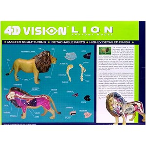 پک ساخت آناتومی بدن شیر مدل Chap Mei - 4D Master - Lion Anatomy Model_اسباب بازی