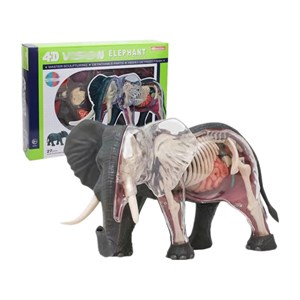 پک ساخت آناتومی بدن فیل مدل Chap Mei - 4D Master - Elephant Anatomy Model_اسباب بازی