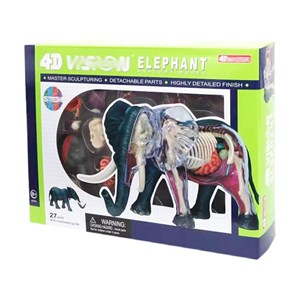 پک ساخت آناتومی بدن فیل مدل Chap Mei - 4D Master - Elephant Anatomy Model_اسباب بازی