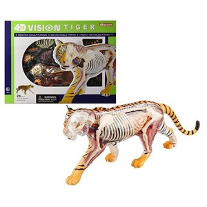 پک ساخت آناتومی بدن ببر مدل Chap Mei - 4D Master - Tiger Anatomy Model_اسباب بازی