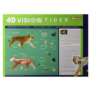 پک ساخت آناتومی بدن ببر مدل Chap Mei - 4D Master - Tiger Anatomy Model_اسباب بازی