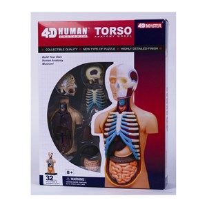 پک ساخت آناتومی بدن انسان مدل Chap Mei - 4D Master - Human Anatomy Model_اسباب بازی