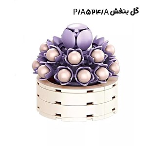 لگو کریتور پک 6 تایی گل های ساکولنت 478 قطعه_اسباب بازی