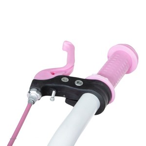 دوچرخه دخترانه لاودیس سایز 16 صورتی مدل ZR16135 laodis_اسباب بازی