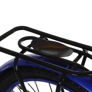 دوچرخه شهری لاودیس سایز 20 آبی مدل ZR20133 laodis_اسباب بازی