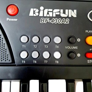 اسباب بازی آموزشی ارگ بیگفان 37 کلید مدل BF_430A2_اسباب بازی