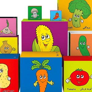 اسباب بازی برج مکعب سنجاقک به همراه کتاب پارچه ای حیوانات مزرعه مدل 10 طبقه SANJAGHAK_اسباب بازی