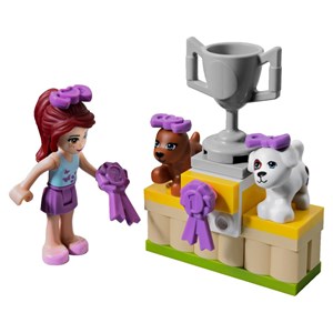 لگو فرندز نمایش سگ هارت لیک 183 قطعه مدل 10159 friends_اسباب بازی