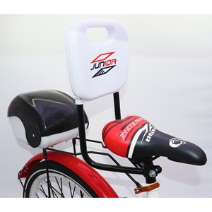 دوچرخه اورجینال کودک سایز 20 طرح دختر کفشدوزکی و گربه سیاه مدل جونیور JUNIOR_اسباب بازی