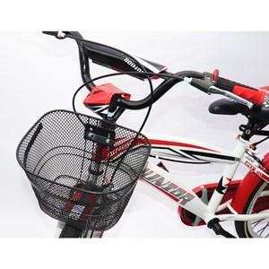 دوچرخه اورجینال کودک سایز 20 طرح دختر کفشدوزکی و گربه سیاه مدل جونیور JUNIOR_اسباب بازی