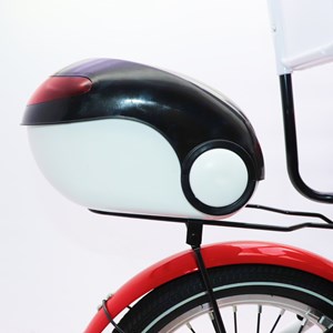 دوچرخه اورجینال کودک سایز 16 طرح دختر کفشدوزکی و گربه سیاه مدل جونیور JUNIOR_اسباب بازی