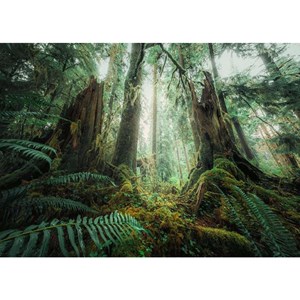 پازل 1000 قطعه راونزبرگر Ravensburger طرح جنگل افسونگر_اسباب بازی