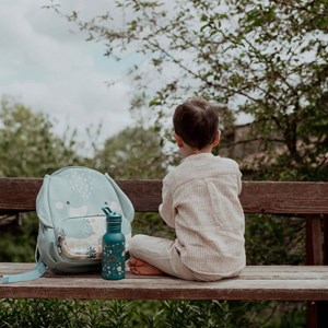 کوله پشتی بزرگ طرح فیل ساسی Sassi