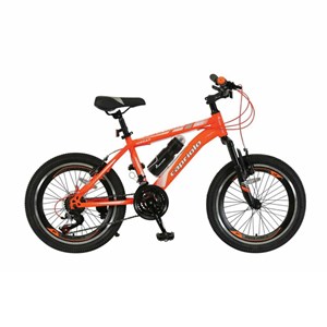 دوچرخه 20 کوهستان کاپریولو مدل JORDAN کد 20634-فروشگاه اسباب بازی