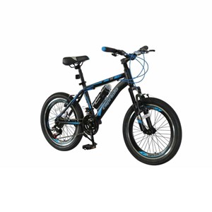 دوچرخه 20 کوهستان کاپریولو مدل JORDAN کد 20634-فروشگاه اسباب بازی