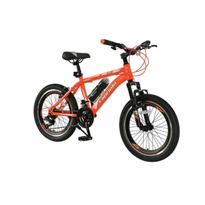 دوچرخه 20 کوهستان کاپریولو مدل JORDAN کد 20634-فروشگاه اسباب بازی